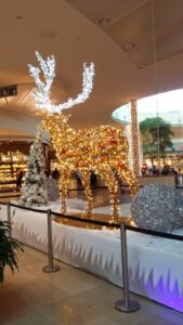 Rheiderlandgruppe unterwegs nach Oldenburg 2 2019 02.12. Oldenburg Nr. 18