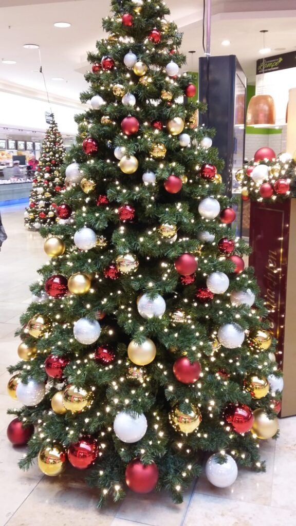 Rheiderlandgruppe unterwegs nach Oldenburg 15 2019 0212. Oldenburg Nr. 22