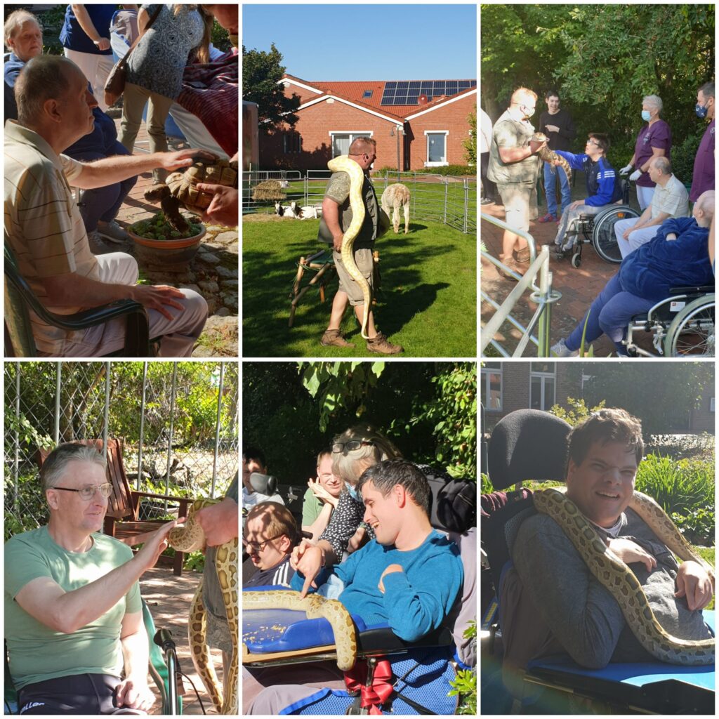 Besuch rollender Zoo 3 20200921 200603 scaled 1