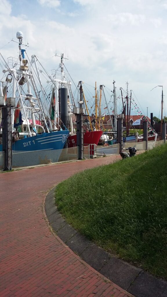 Regionalgruppe "Füreinander-Miteinander" zu Besuch in Ditzum 6 Regionalgruppe "Füreinander-Miteinander" zu Besuch in Ditzum