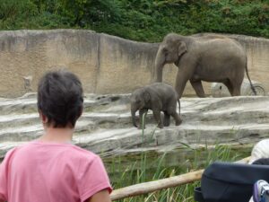 Ab in den Zoo nach Emmen 12 IMG 20230929 WA0021