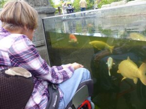 Ab in den Zoo nach Emmen 15 IMG 20230929 WA0057