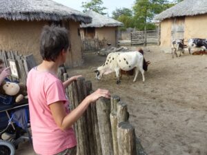 Ab in den Zoo nach Emmen 17 IMG 20230929 WA0070