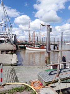 Zu Gast bei guten Freunden 7 IMG 20240619 155628