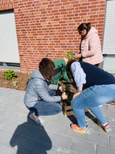 IMG 4848