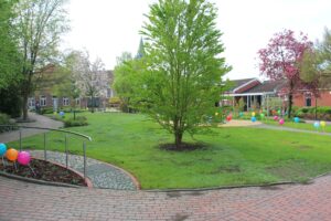 IMG 7588
