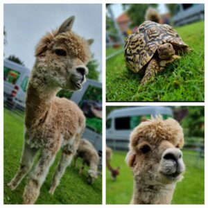 b14af8f1953f4558a12be9b247122d3a