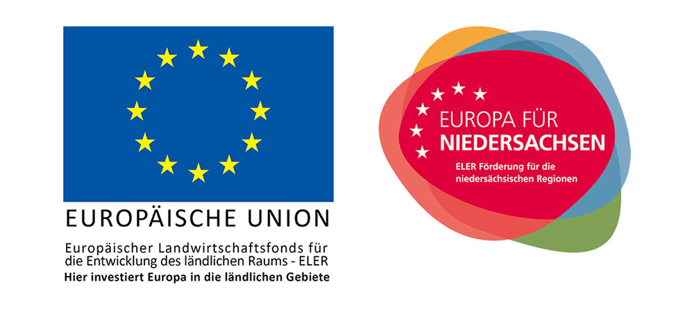 Hier investiert die EU