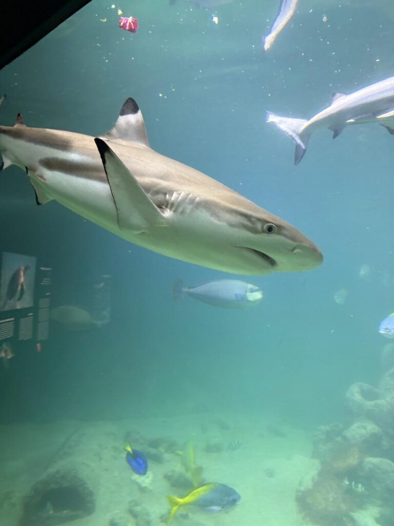 81d289d2 a693 4a25 ba60 22b1136289b9