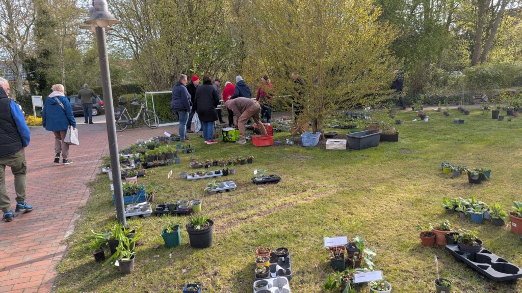 30. Staudenbörse und Gartenpartie 2 3631fe1a caa8 452c ad25 b02d426eda02