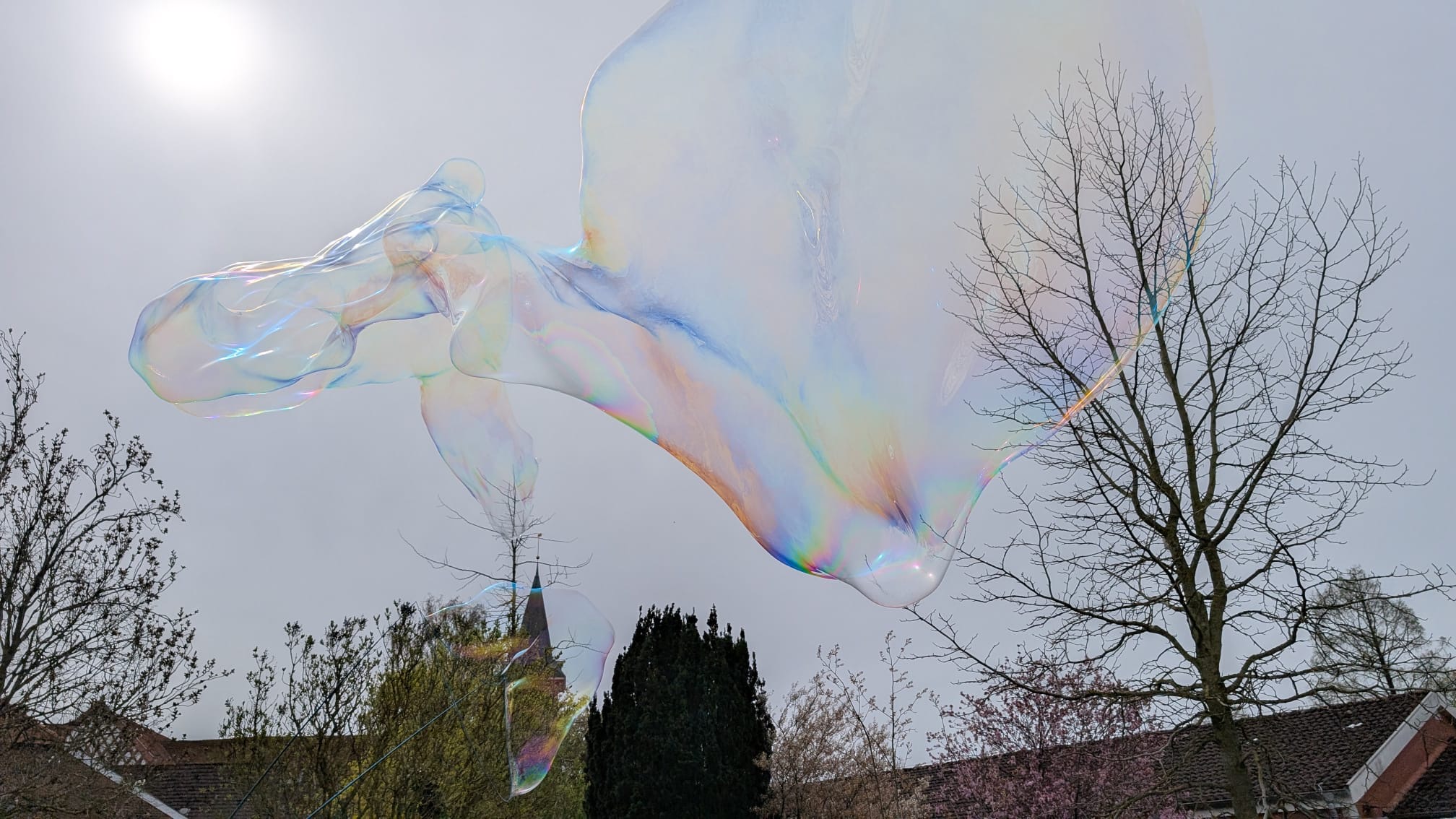 Startseite 2 eb68d7a6 450e 4191 af12 9ee356bc510b